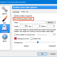 Options for toolbar tags