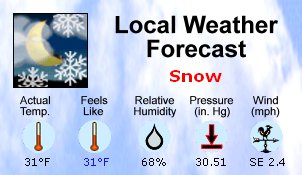 skin - Daily Weather Monitor