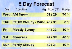 skin - 5 Day Weather Monitor