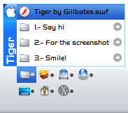 skin - Tiger