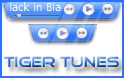 skin - Tiger Tunes